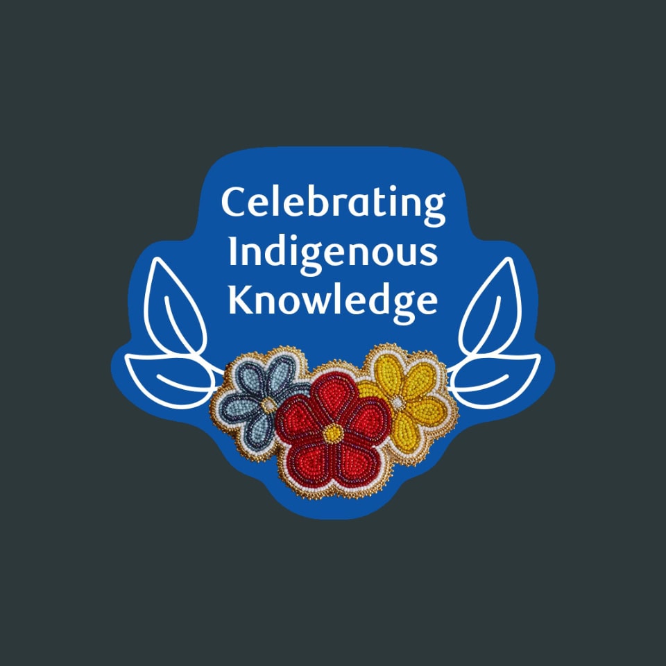 A sticker that says 'Celebrating Indigenous Knowledge' from A Chosen Journey campaign