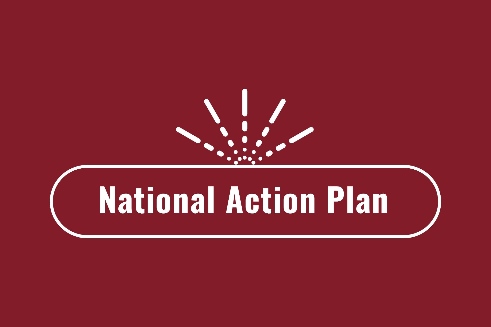The logo for the National Action Plan is shown.