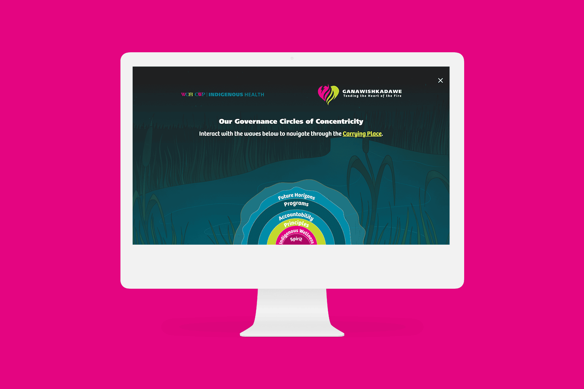 A desktop mockup of the Centre for Wise Practices website.