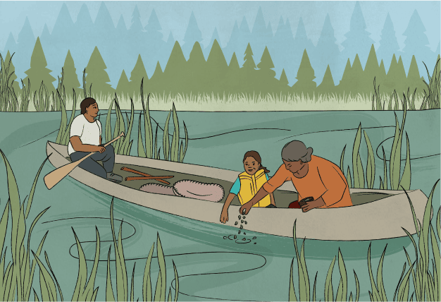 Nature themed Illustration of two Indigenous women and a child canoeing in a marsh.